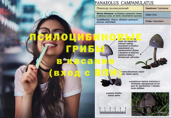 не бодяженный Новодвинск