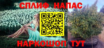 ECSTASY Абакан
