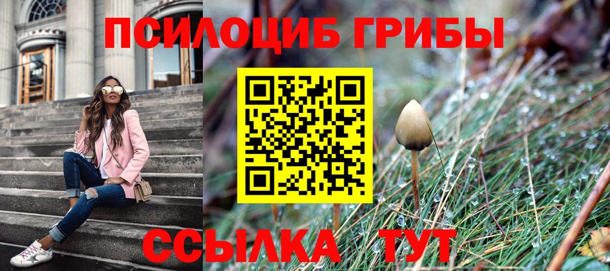 Галлюциногенные грибы Psilocybine cubensis Новотроицк