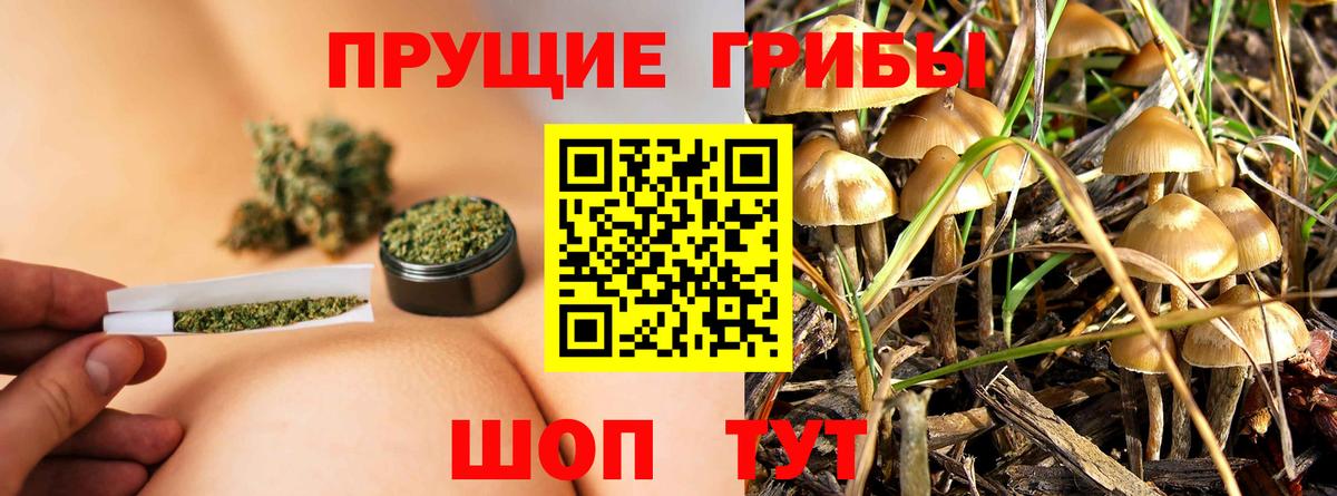 Галлюциногенные грибы Magic Shrooms  Вход с VPN  где купить наркоту  Новотроицк 